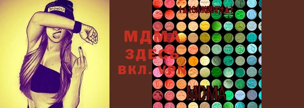 гидропоника Медногорск