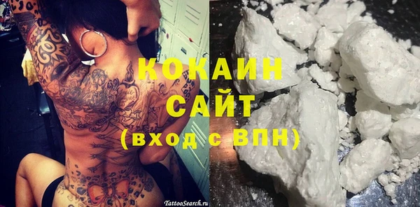 прущие грибы Березники