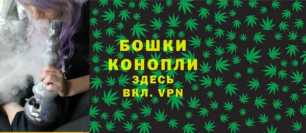 амф Мегион