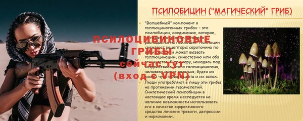 амф Мегион